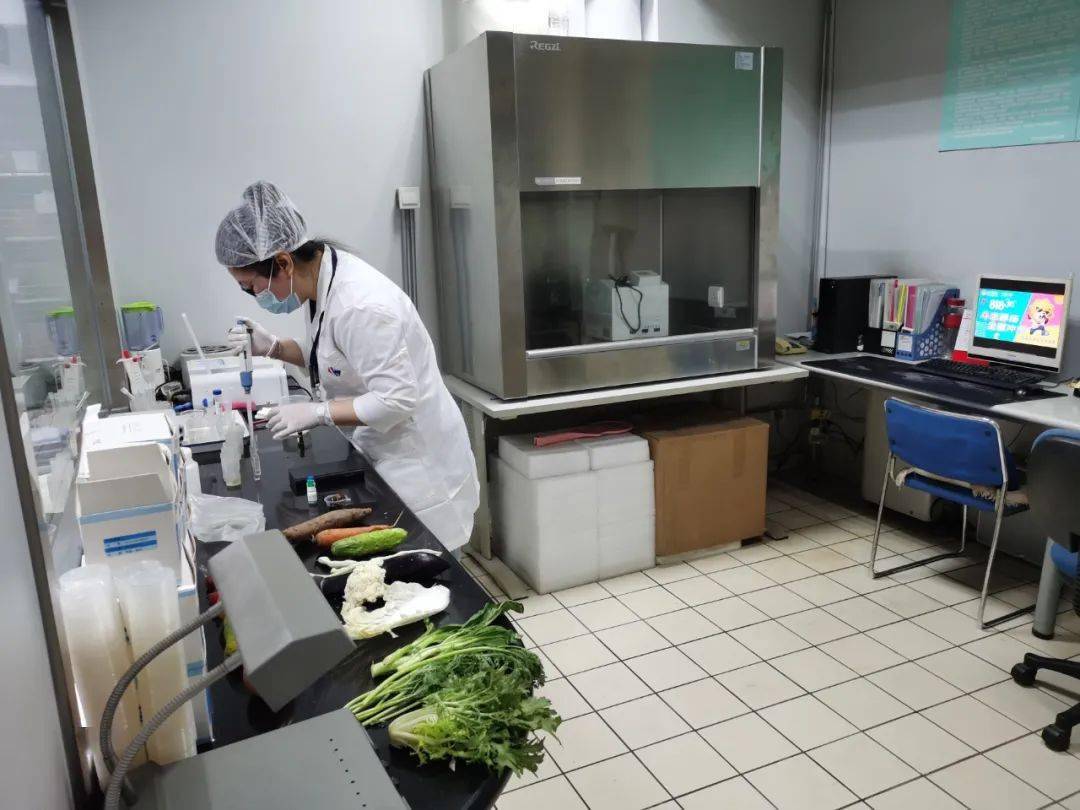 温州食品检测实验室装修方案